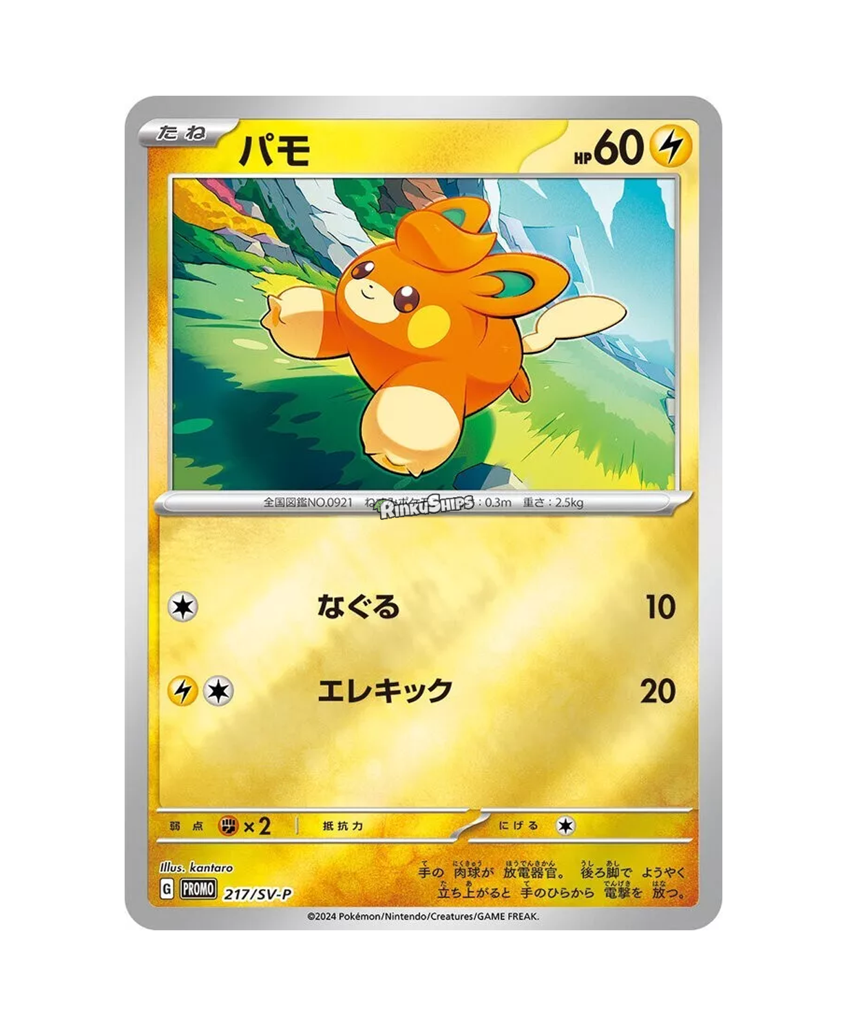 2024 Summer Promo Booster Pack - Japanese Pokémon