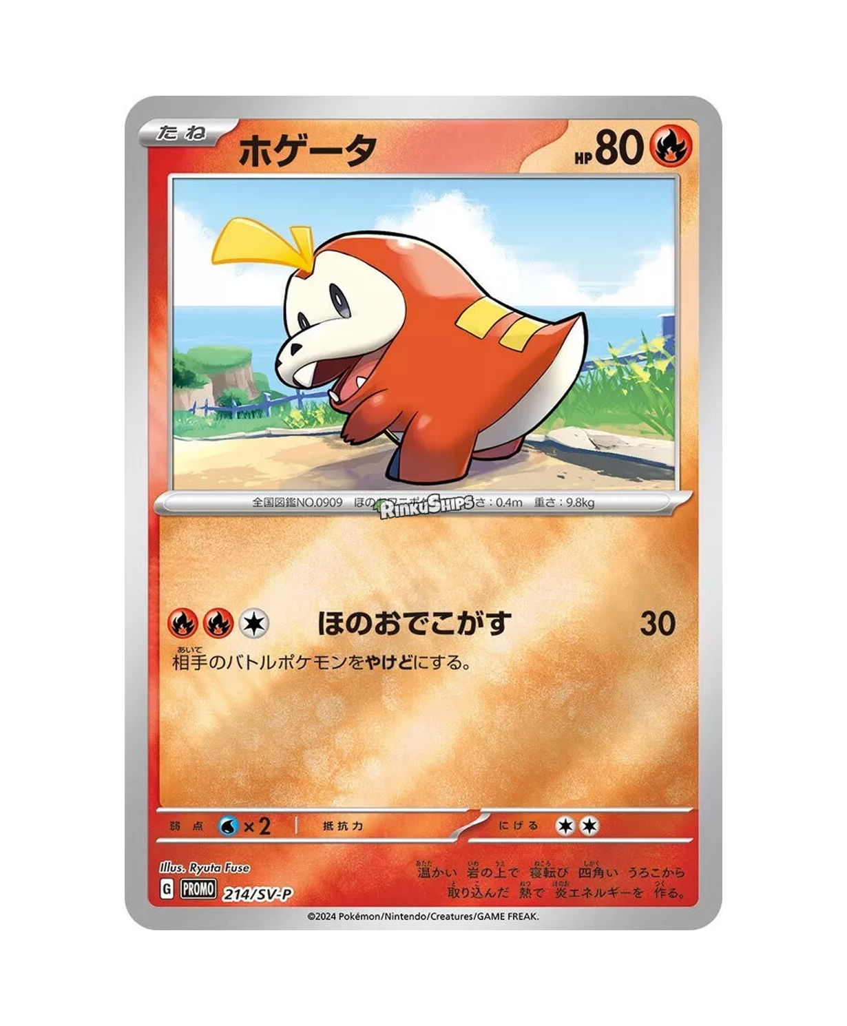 2024 Summer Promo Booster Pack - Japanese Pokémon